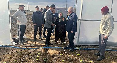 Kardın çiftçi, 65 yaşında devlet desteğiyle sera kurdu