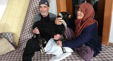 Karlar arasında kuzularına sarılı halde bulunan Naciye nine kuzusuna kavuştu