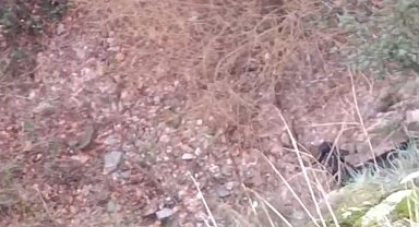 Kayalıkta mahsur kalan keçi 6 saatlik çalışmanın ardından kurtarıldı