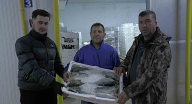 Kayseri'den 6 ülkeye 10 bin 500 ton balık ihracatı