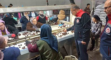 Kestanenin Aydın'dan ihracat yolculuğu başlıyor