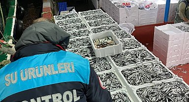 Kırklareli'nde balıkçılara kota denetlemesi