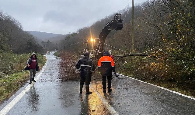 Kırklareli'nde rüzgardan kopan elektrik telleri yangına neden oldu