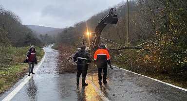 Kırklareli'nde rüzgardan kopan elektrik telleri yangına neden oldu