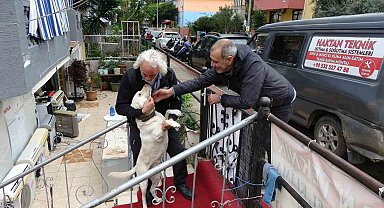 Komşuların rahatsız olduğu labrador cinsi köpek için sahibinden pankartlı tepki
