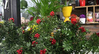 Konya'da çiçekçilerde 'kokina' hazırlığı