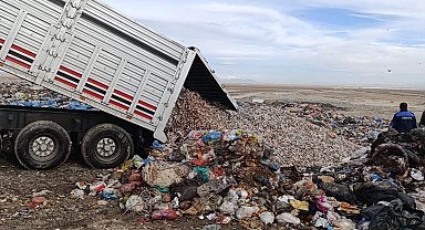 Konya'da tır dolusu kokmuş balık yakalandı