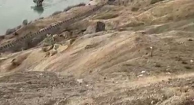 Koruma altındaki dağ keçileri Palu'nun eşsiz manzarasına dahil oldu