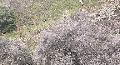 Kumluca'da kayıp avcıdan acı haber