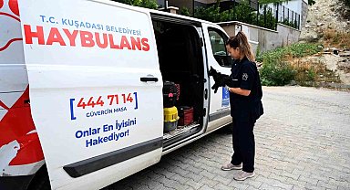 Kuşadası Belediyesi'nin Haybulans araçları 2024'te can dostlara umut oldu