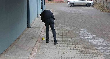 Malatya'daki cinayetin zanlısı yakalandı