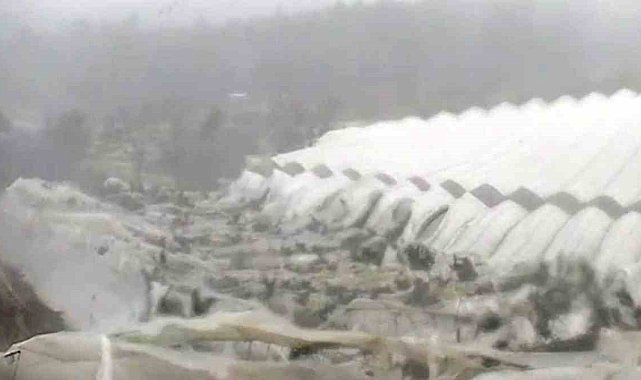 Manavgat'ta hortum muz seralarını vurdu, görüntüler yeni ortaya çıktı