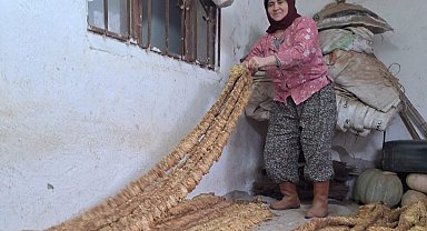 Manisalı kadın üretici organik tütün yetiştirmeye devam ediyor