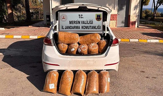 Mersin'de kaçak makaron operasyonu: 4 gözaltı
