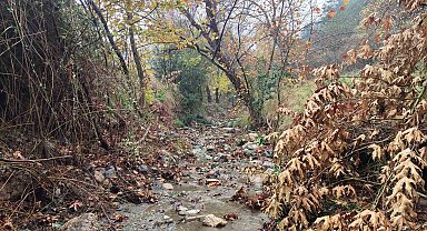Mesir Tabiat Parkında eşsiz manzaralar