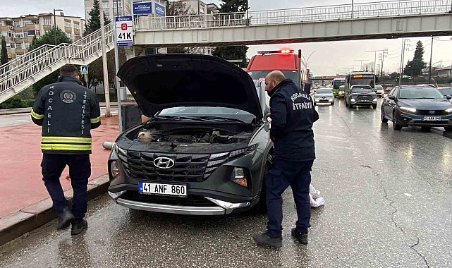 Motora saklanan kedi 13 kilometre yol gitti
