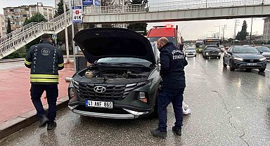 Motora saklanan kedi 13 kilometre yol gitti
