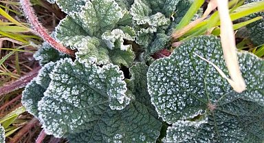 Muğla'nın Doğu bölgeleri için sağanak ve don uyarısı