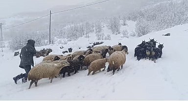 Muş'ta kar yağışı çiftçilerin hayatını olumsuz etkiledi