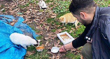 Öğrencilerden sokak hayvanlarına şefkat