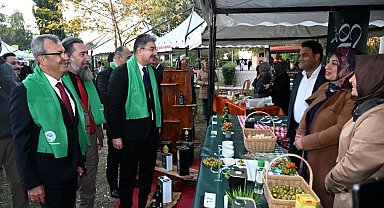 Osmaniye'de "Yeşil Altın Zeytin Festivali" düzenlendi