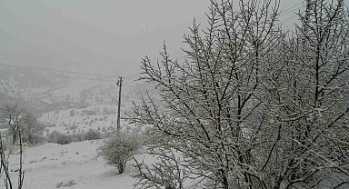Posof'ta yoğun kar ve sis etkili oluyor