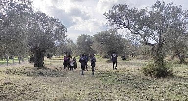 "Yeşil altın" bekçileri hırsızlara geçit vermiyor