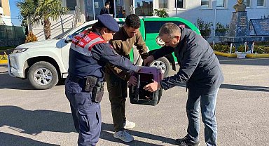 Sakarya'da kaçak avcılık yapan şahsa 48 bin 250 TL ceza