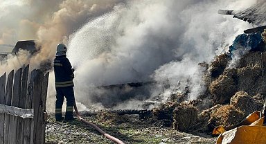 Samanlık ve ahır küle döndü: 3 büyükbaş telef oldu, 17'si kurtarıldı