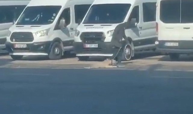 Şanlıurfa'da köpeğe eziyet kamerada