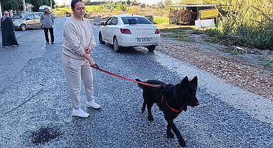 Sel sularının arasında kalan köpeği düzenledikleri operasyonla kurtardılar