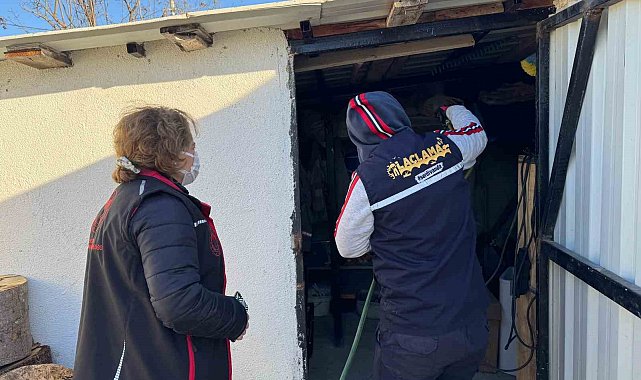 Serdivan'da kahverengi kokarca ile etkili mücadele