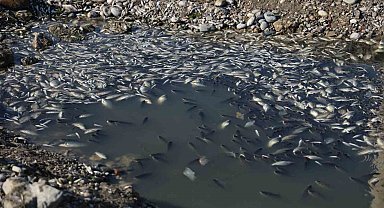 Seyhan Nehri'ne balıklar için can suyu bırakıldı