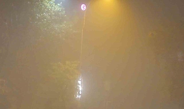 Siirt'te yoğun sis etkisini sürdürüyor