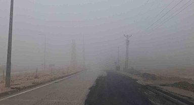 Sincik ilçesinde sis etkili oldu