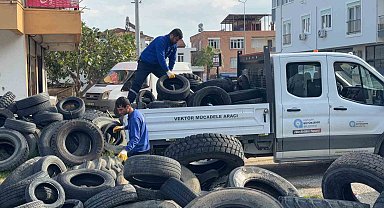 Sineklerin üreme alanı lastikler toplanıyor