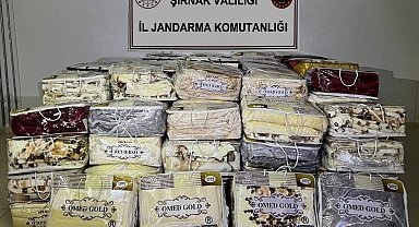 Şırnak'ta kaçakçılık operasyonuna 17 gözaltı