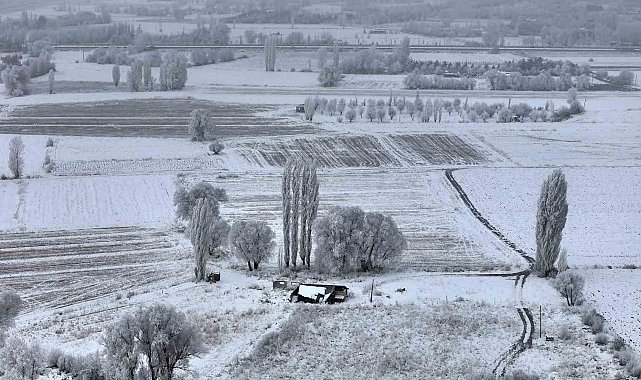 Sivas'ta Sibirya soğukları, eksi 15 derece ile doğa sanata dönüştü