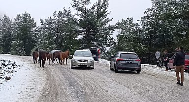Spil Dağı Milli Parkı beyaza büründü