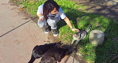 SUBÜ'lü öğrenciler sokak hayvanları için mama dağıttı