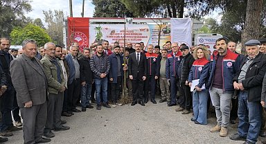 Sultanhisar'da 6 bin kestane fidanı dağıtıldı