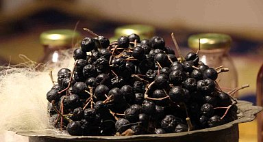 Süper meyve 'Aronya' halılara renk veriyor