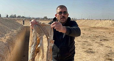 Suriye'de kadınların gömüldüğü toplu mezarlar bulundu