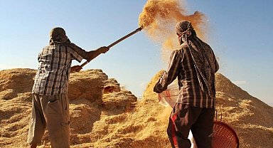 Tarımsal girdi fiyat endeksi yıllık yüzde 32,59 arttı