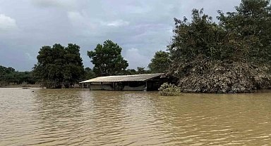 Tayland'ın güneyindeki selde can kaybı 25'e yükseldi