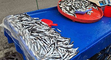 Tekirdağ'da hamsi 150 lira, istavrit 100 lira