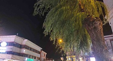 Tekirdağ'da kuvvetli yağış ve fırtına etkili oldu