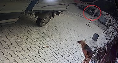 Tırla çarpışan motosikletin 84 yaşındaki sürücüsü hayatını kaybetti