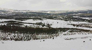 Toroslarda kar güzelliği