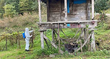 Trabzon'da kokarcayla mücadelede 1 milyon 312 bin metrekarelik alan ilaçlandı